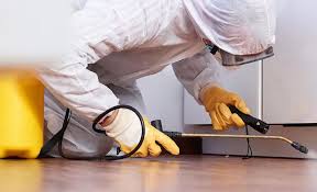 Real Estate Pest Inspections